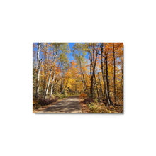 Load image into Gallery viewer, Fall Colors Minnesota