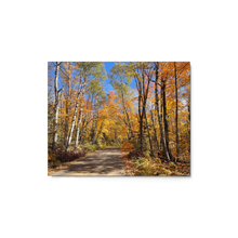 Load image into Gallery viewer, Fall Colors Minnesota